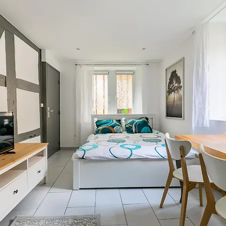 Le Ronny Cathedrale Apartment Strasbourg Exterior photo